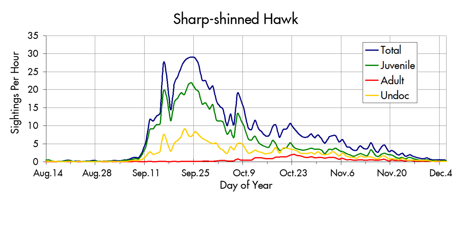 Sharp-shinned Hawk migration trends at the Marin Headlands