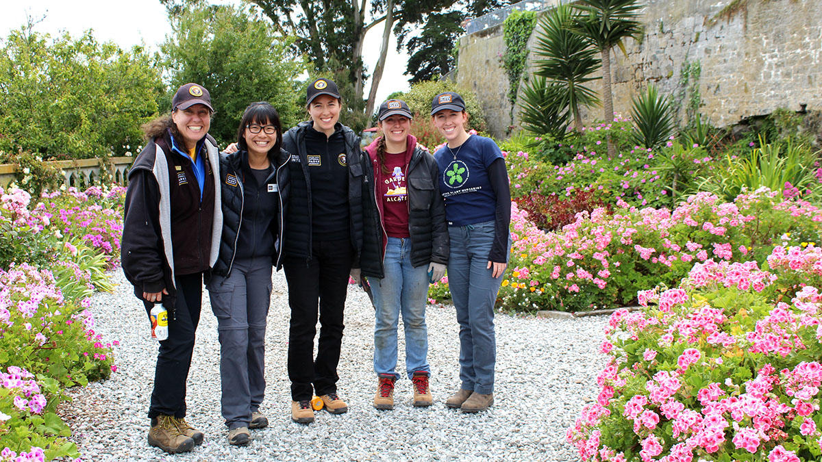 Interns explore the gardens of Alcatraz Interns explore the gardens of Alcatraz