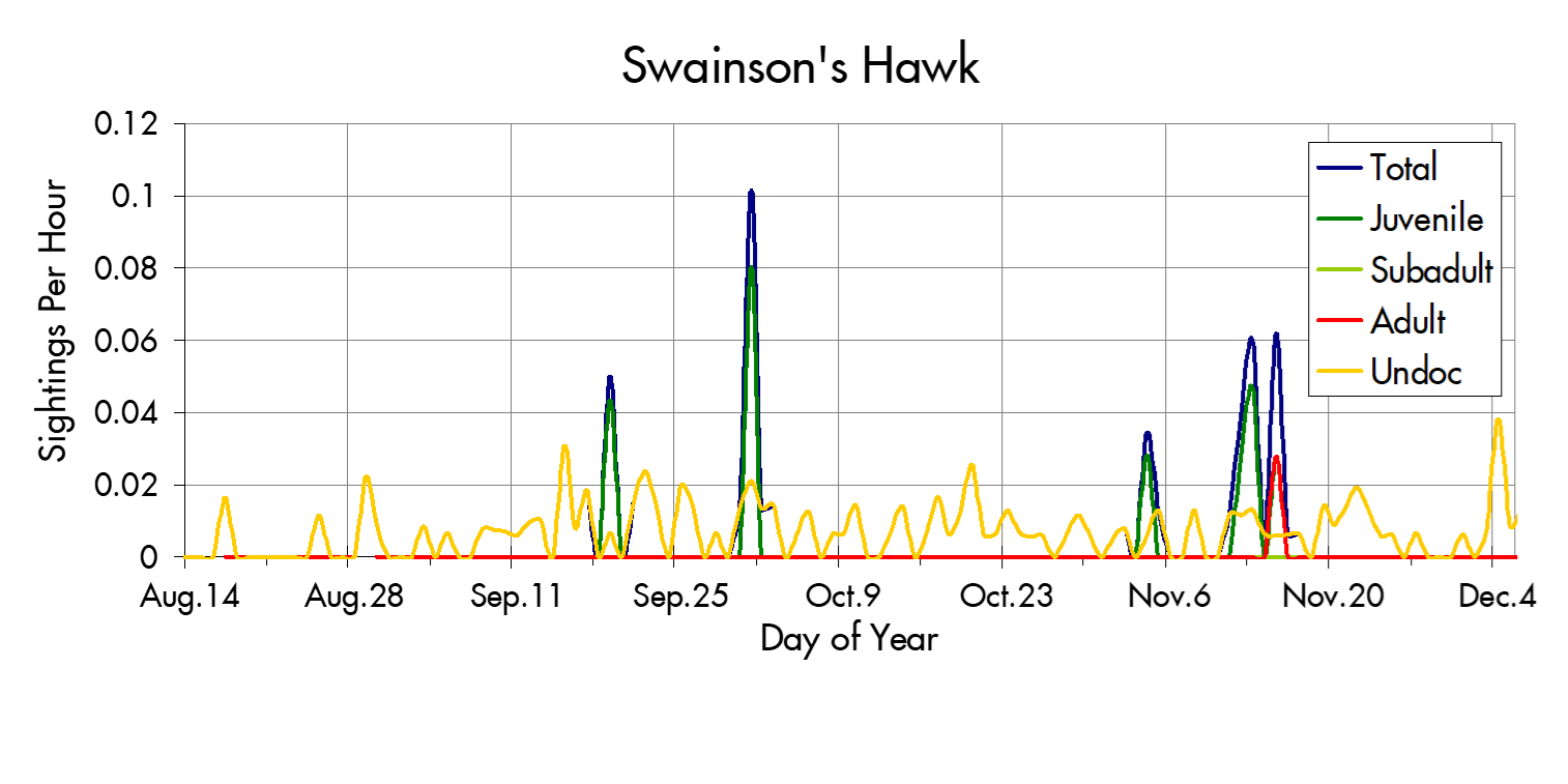 Swainson's Hawk migration trends at the Marin Headlands