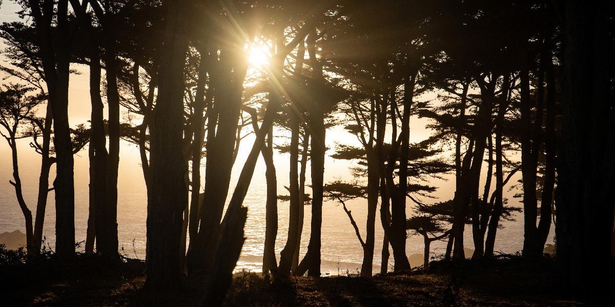 The 23rd Annual Trails Forever Dinner will be at Lands End on Saturday, September 20, 2025.