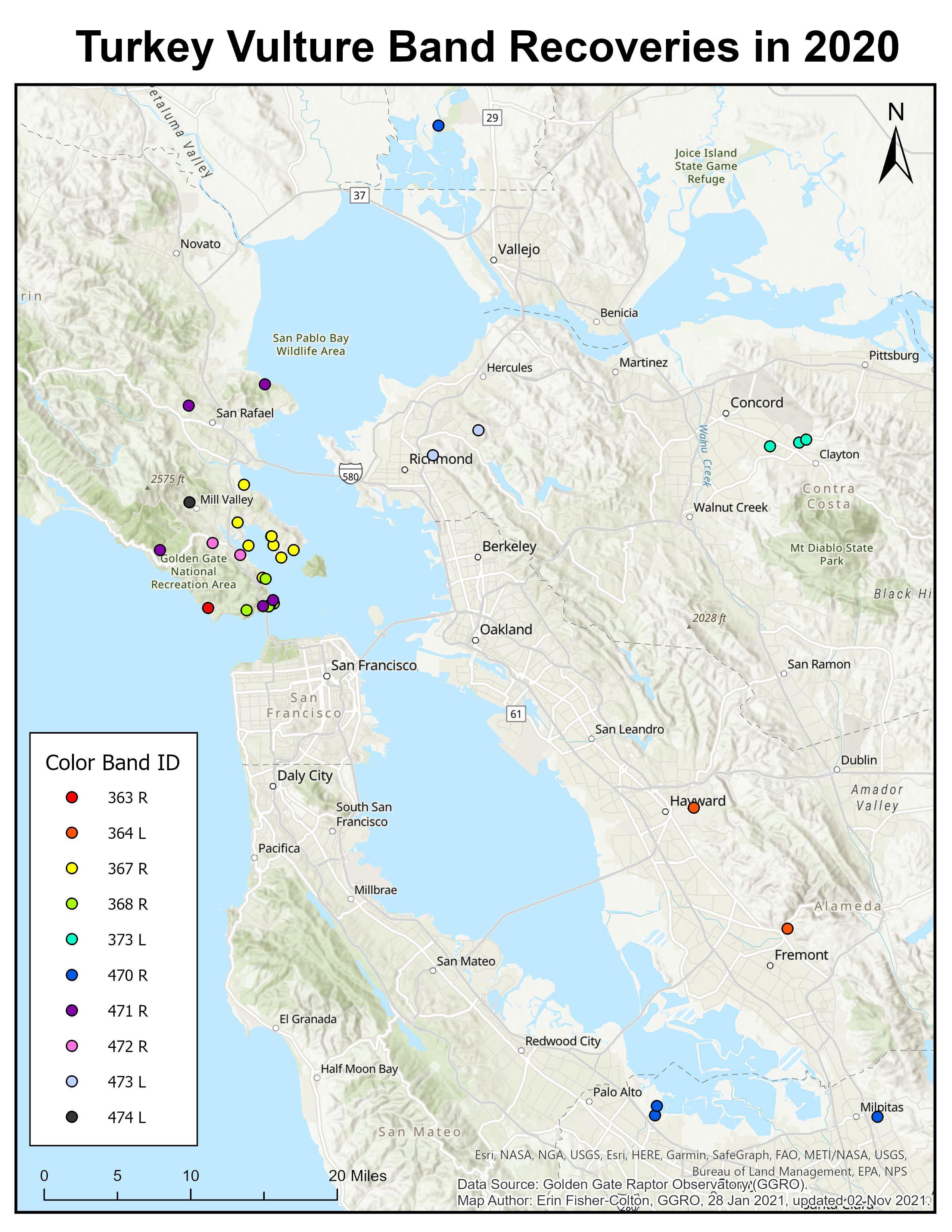 Map of vultures that were resighted and reported to Bird Banding Laboratory in 2020