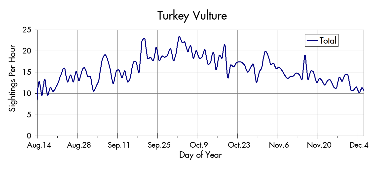 Turkey Vulture migration trends at the Marin Headlands