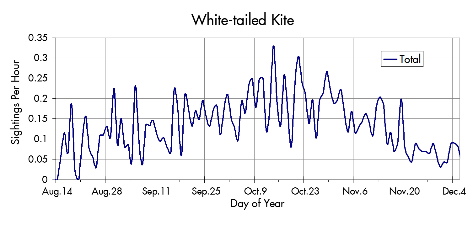 White-tailed Kite migration trends at the Marin Headlands