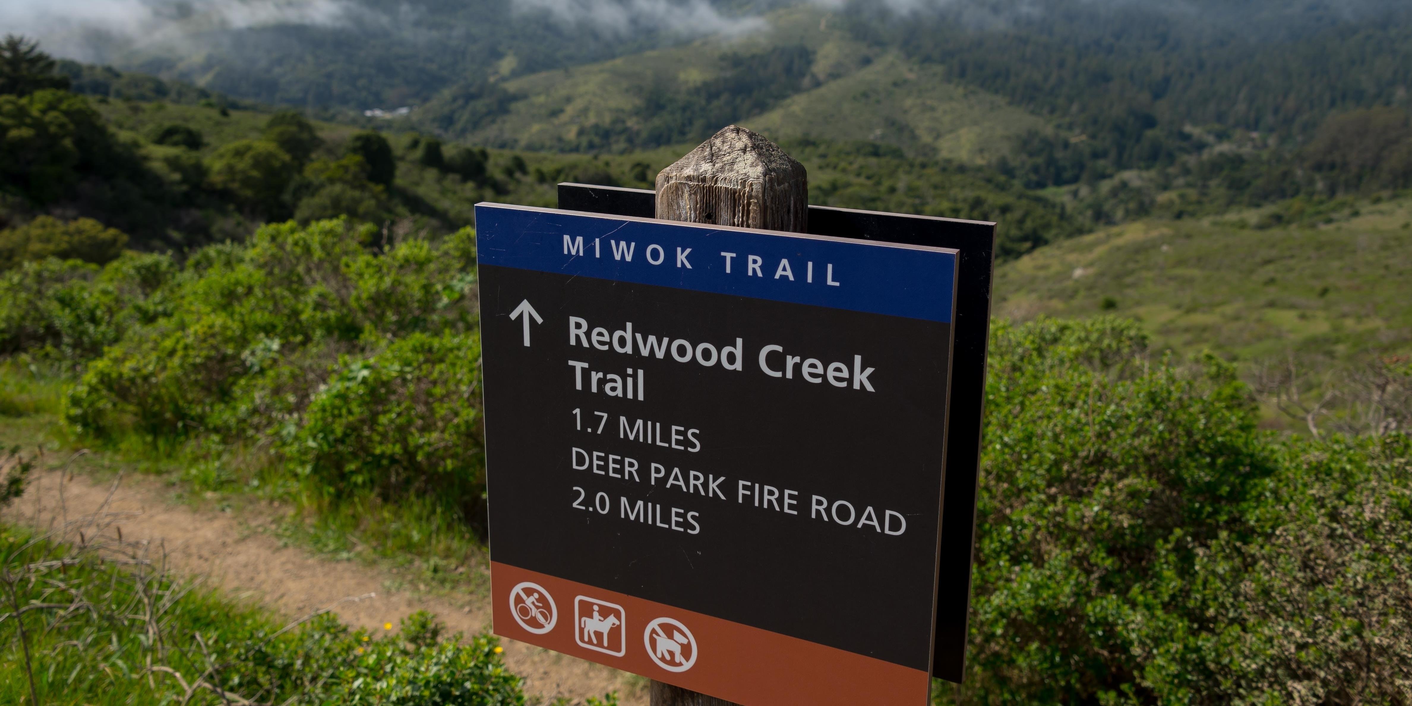 Trail signs along the Dias Ridge Trail