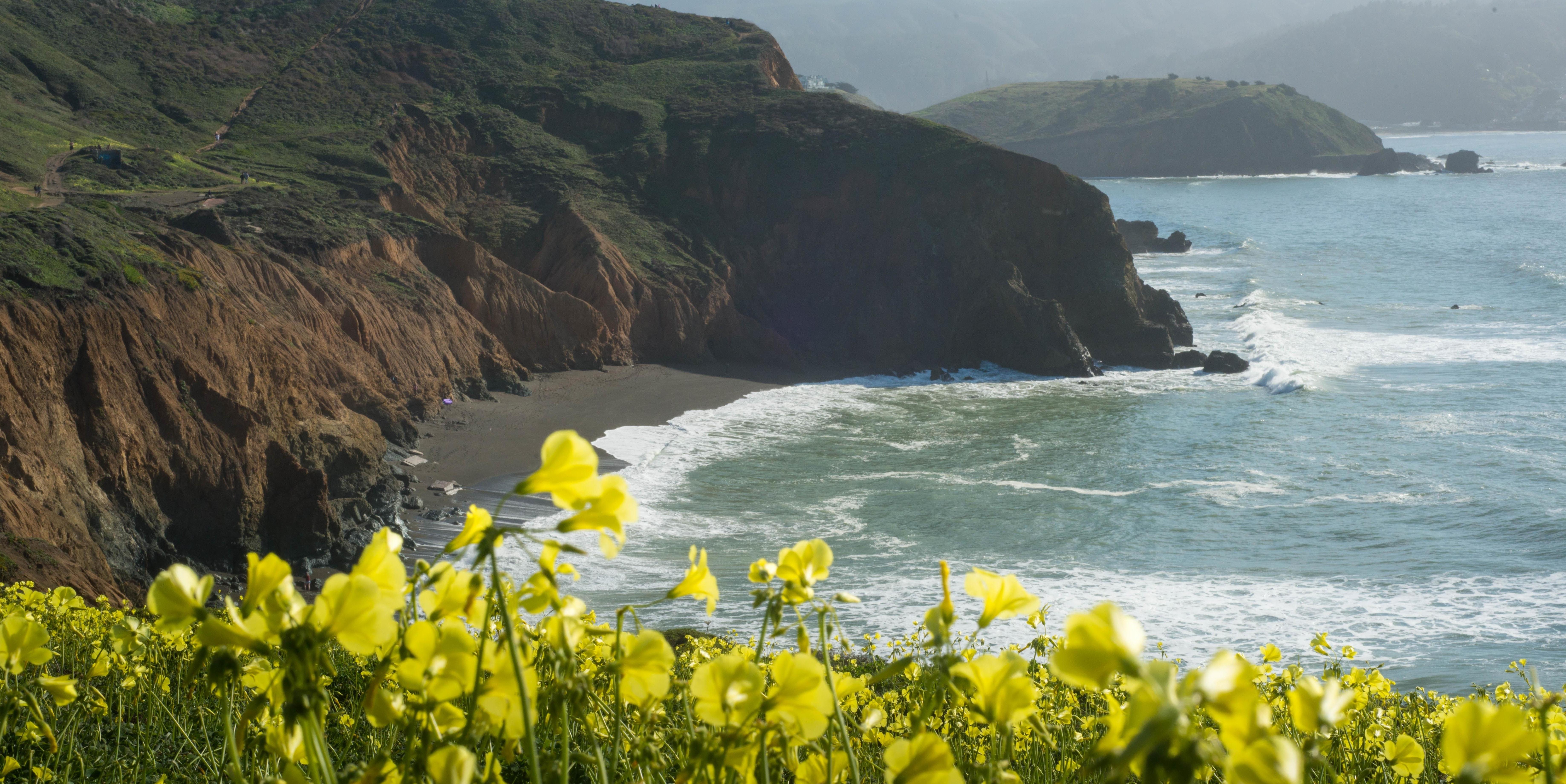 Wildflowers abound atop Mori Point Wildflowers abound atop Mori Point