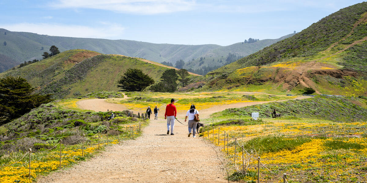 Scenic view of Mori Point Loop Trail, park visitors walk amongst wildflowers on a sunny day.