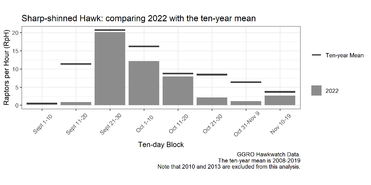 Sharp-shinned hawk: comparing 2022 with the ten-year mean