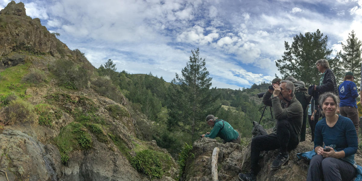 Carson Falls, Mt. Tam