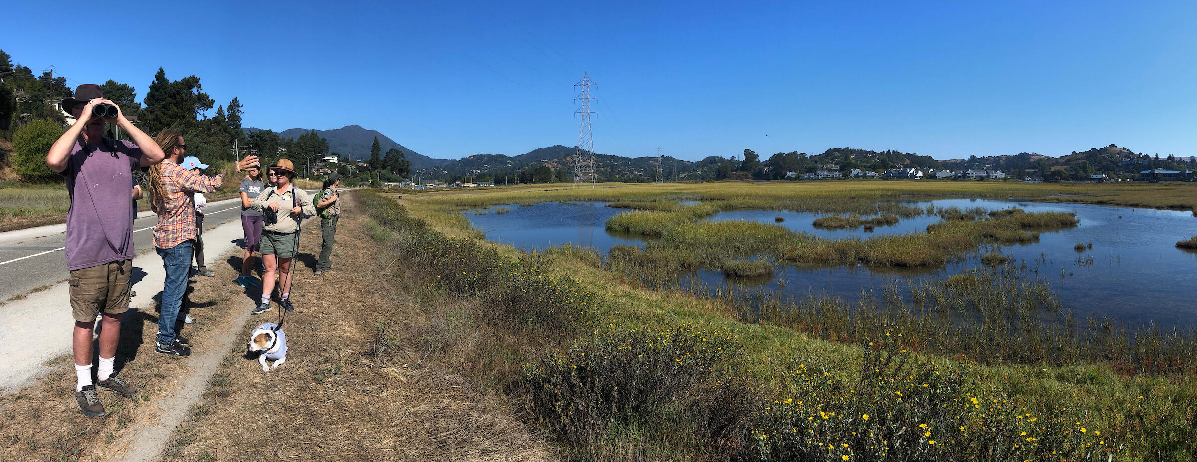 The Mill Valley-Sausalito multi-use path runs through Bothin Marsh