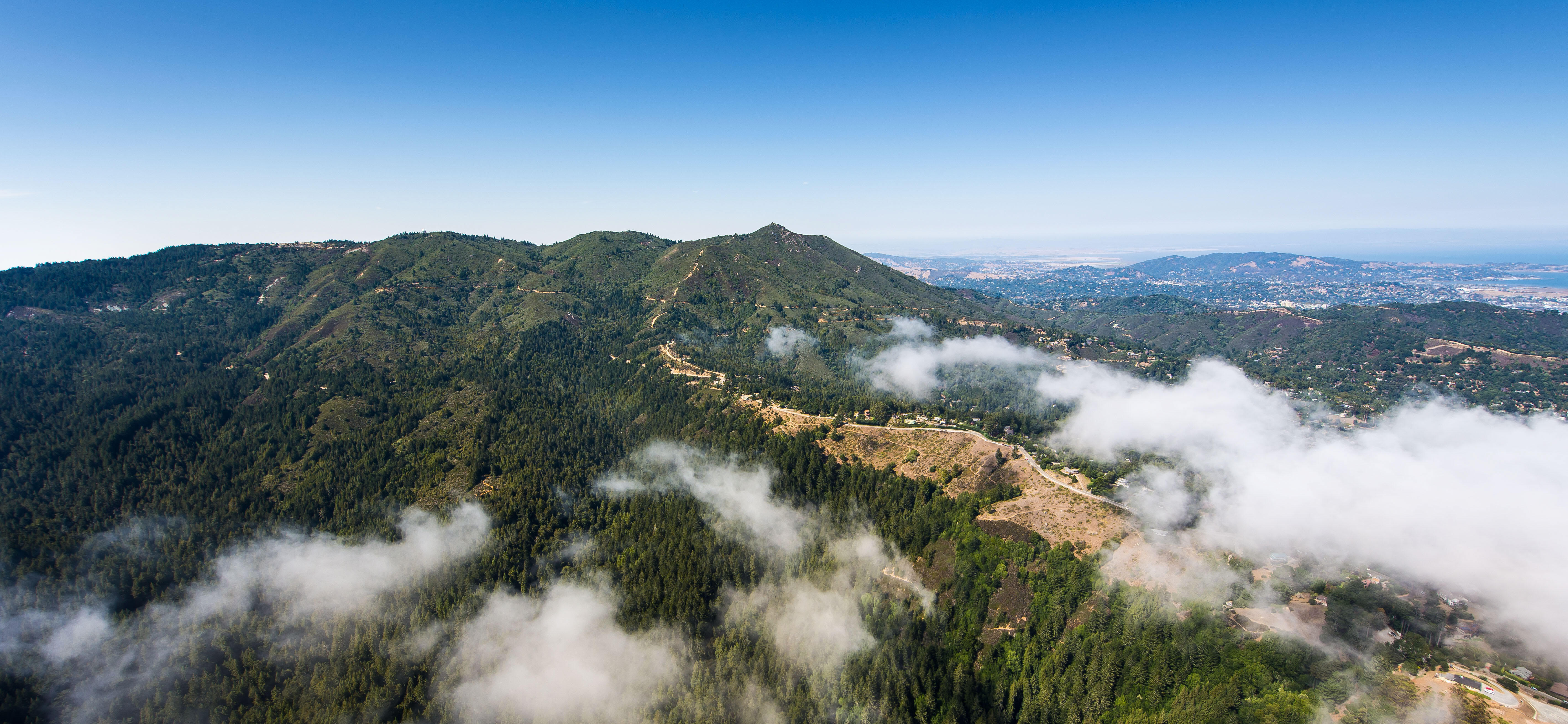 the green outline of Mt. Tamalpais is viewed against a blue sky. The photo is taken at an oblique angle, a trail leads from the bottom right among some white patches of fog.