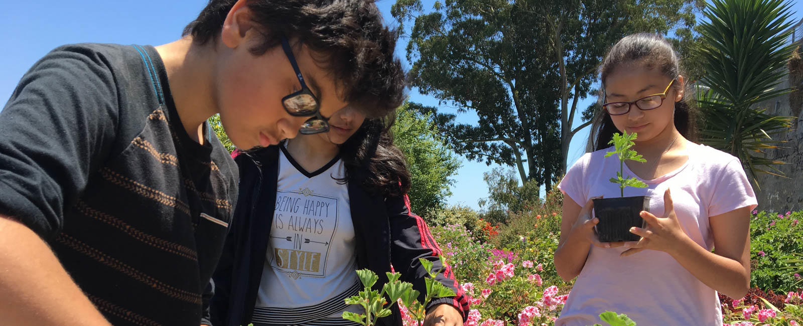 Youth Volunteering on Alcatraz Island