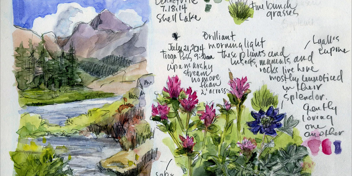 Nature Journal Club How To Build A Journal Page Golden Gate National Parks Conservancy
