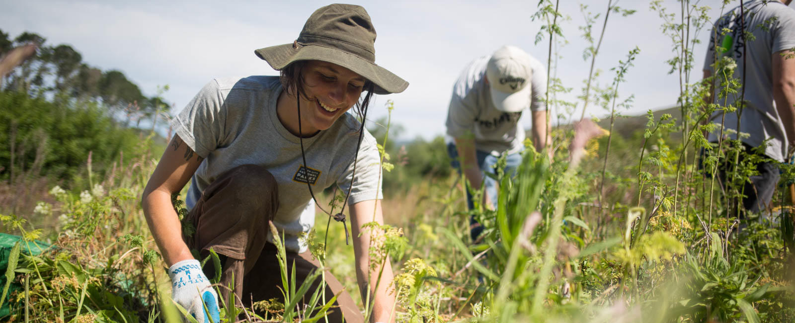 Stewardship Intern at Work