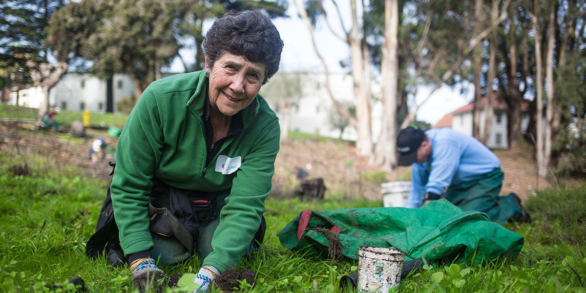 Volunteers Working on the Presidio Bluffs