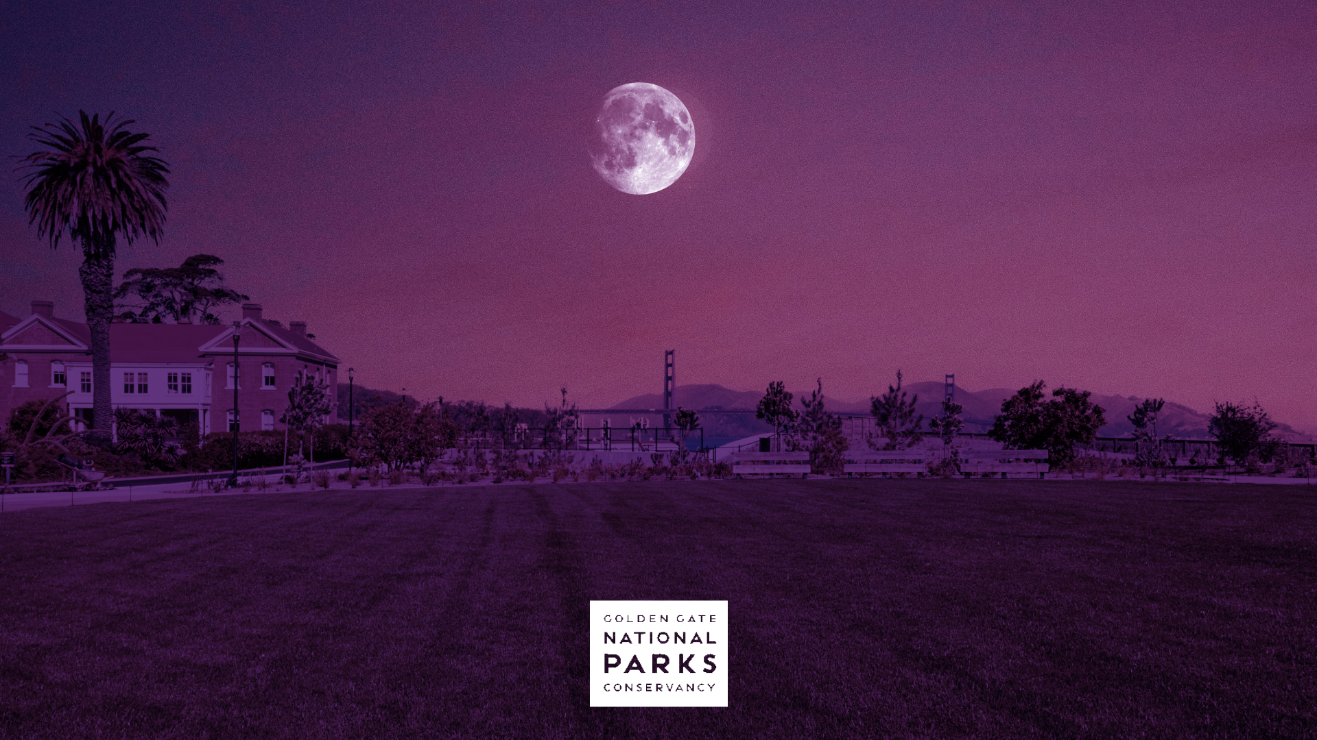 Pink Full Moon Hike and Party Design