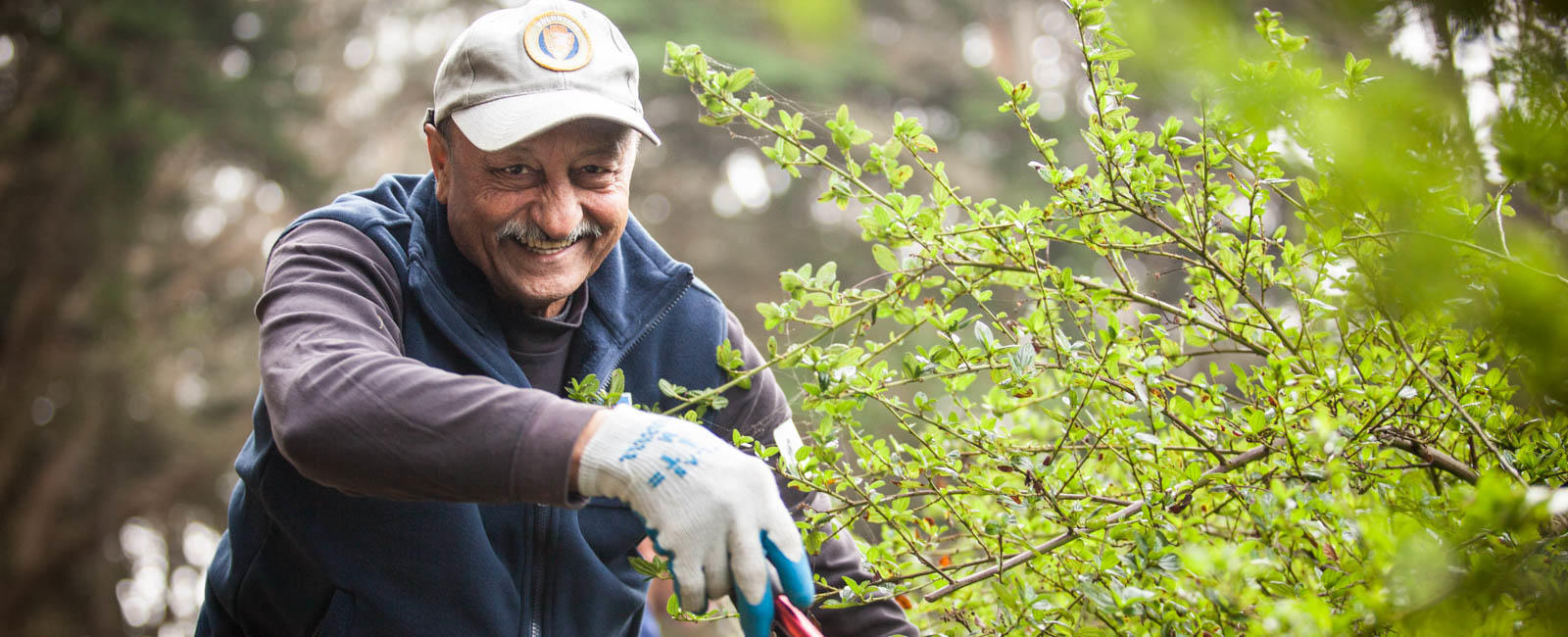 Presidio Volunteer