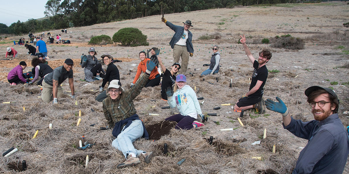 volunteer, planting, rancho corral de tierra