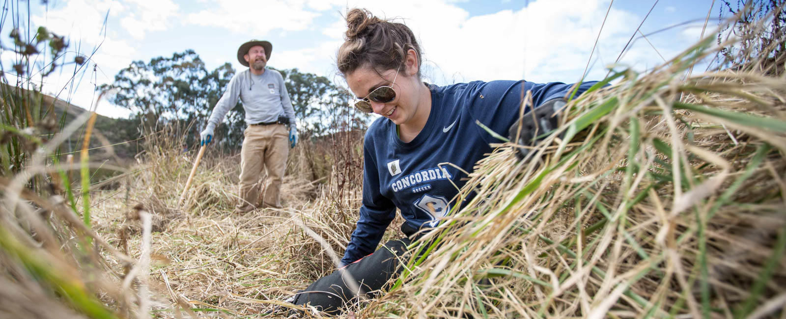 Habitat Restoration in Tennessee Valley
