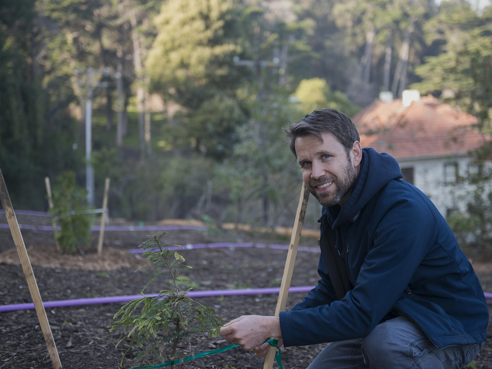 Blake Troxel, Presidio Trust Botanist, kneels by redwood sapling in the Thomas Redwoods grove in the Presidio.