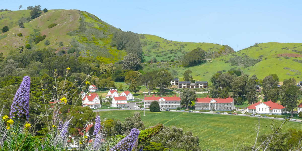 Large purple plants adorn the foreground of a sweeping view of military barracks on a large grassy field