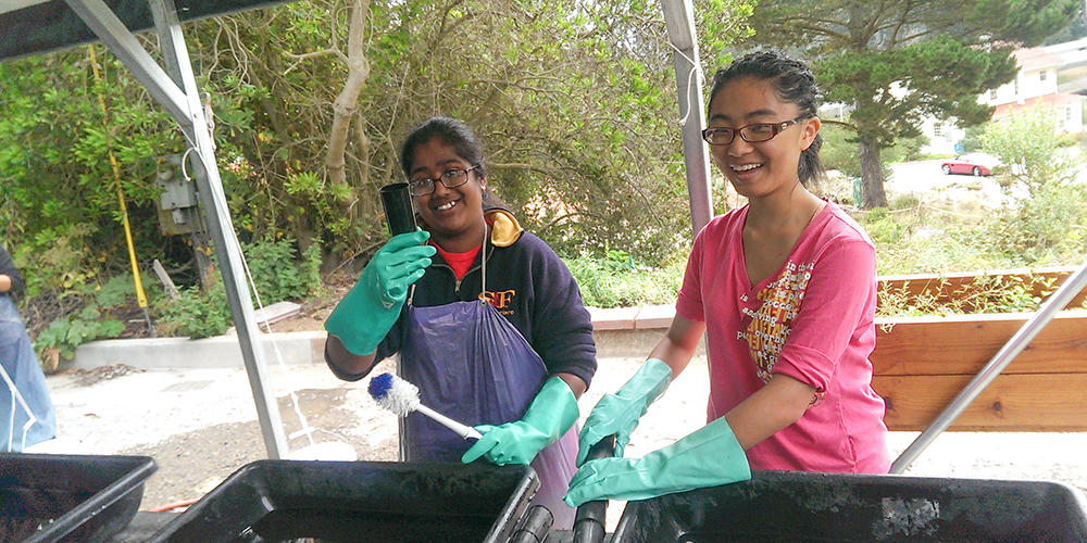 Presidio Native Plant Nursery volunteers