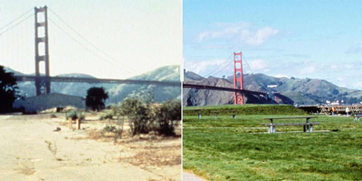 Before-and-after images crissy field