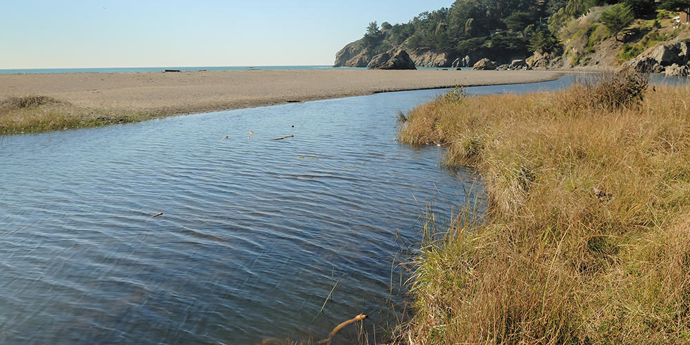 Muir Beach