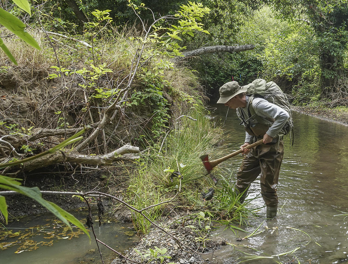 Crew lead Elliot Gunnison hacks at a weed in Redwood Creek.