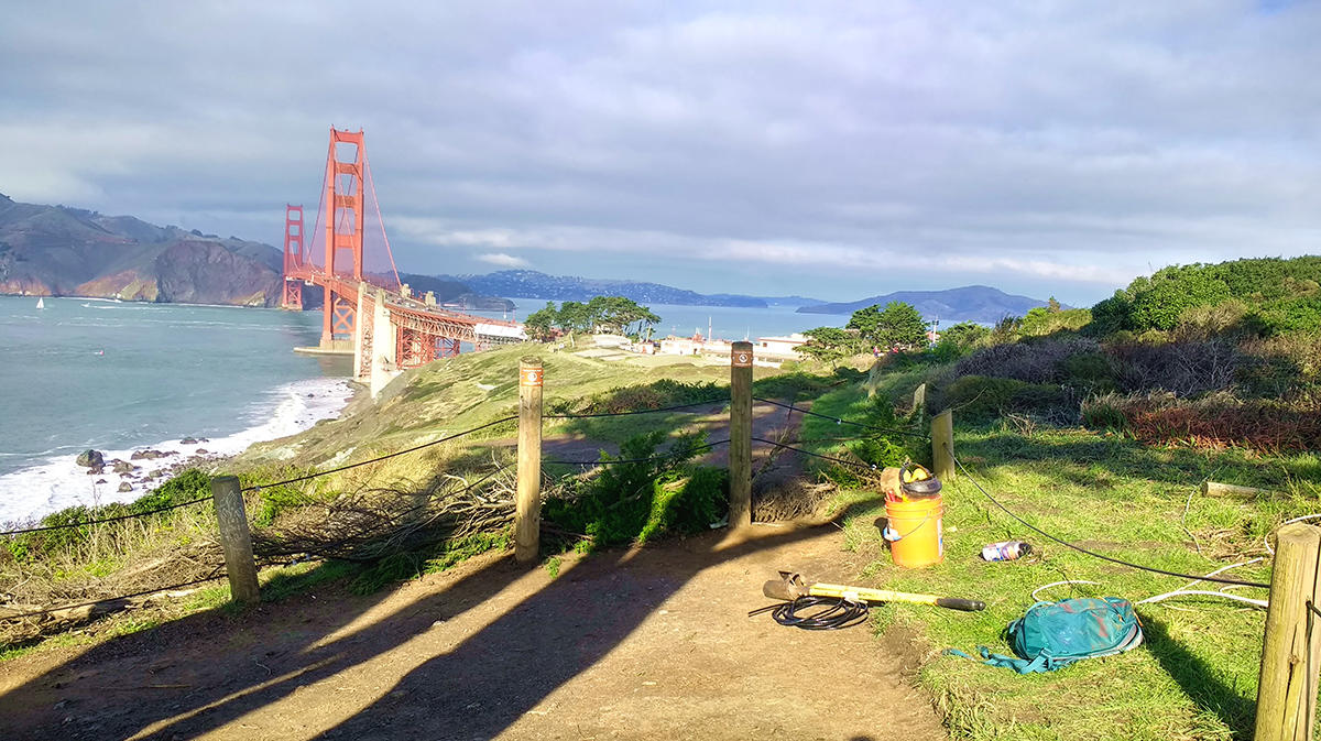 New fencing at the Presidio Bluffs helps protect visitors and sensitive habitats.