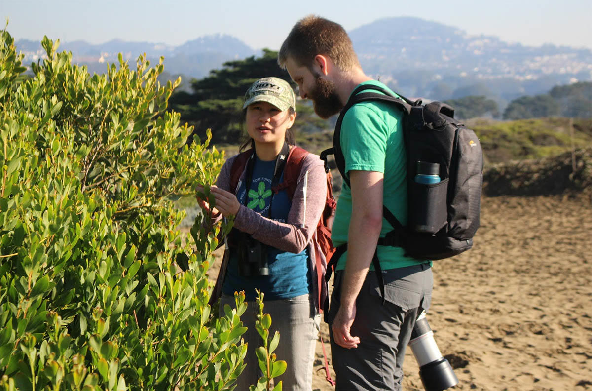 Mary Lee at the 2018 Winter BioBlitz at Ocean Beach.