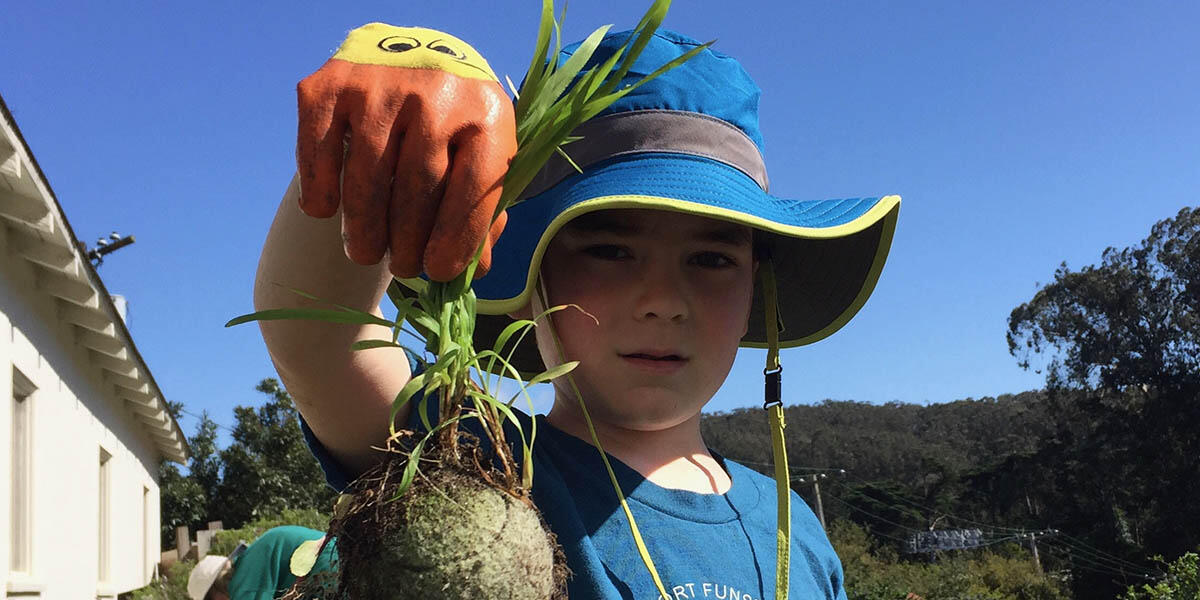 A young volunteer holds up a small plant attached to a tennis ball at the Presidio Nursery.