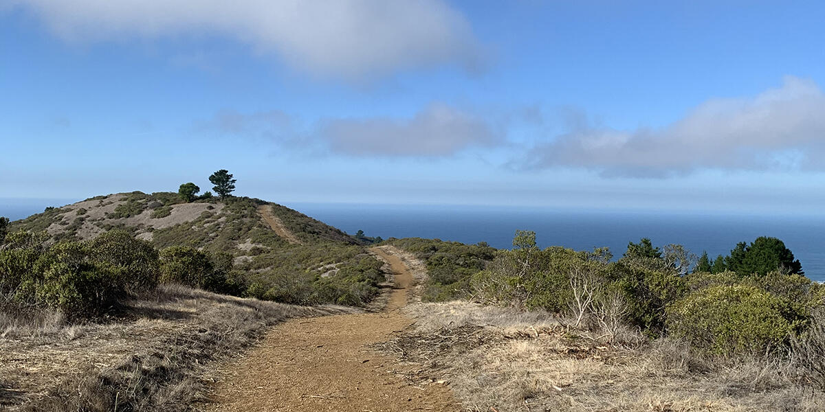 An image of a dirt walking trail with a view of a blue sky and the blue ocean.