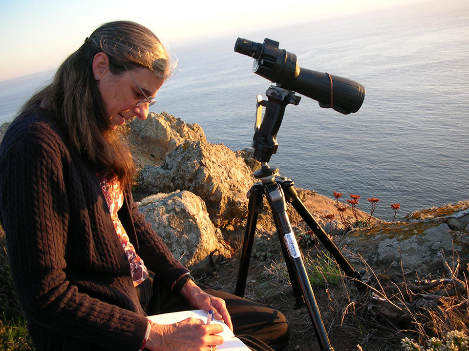 Biologist Sarah Allen records data in a notebook next to rocky California coastline.