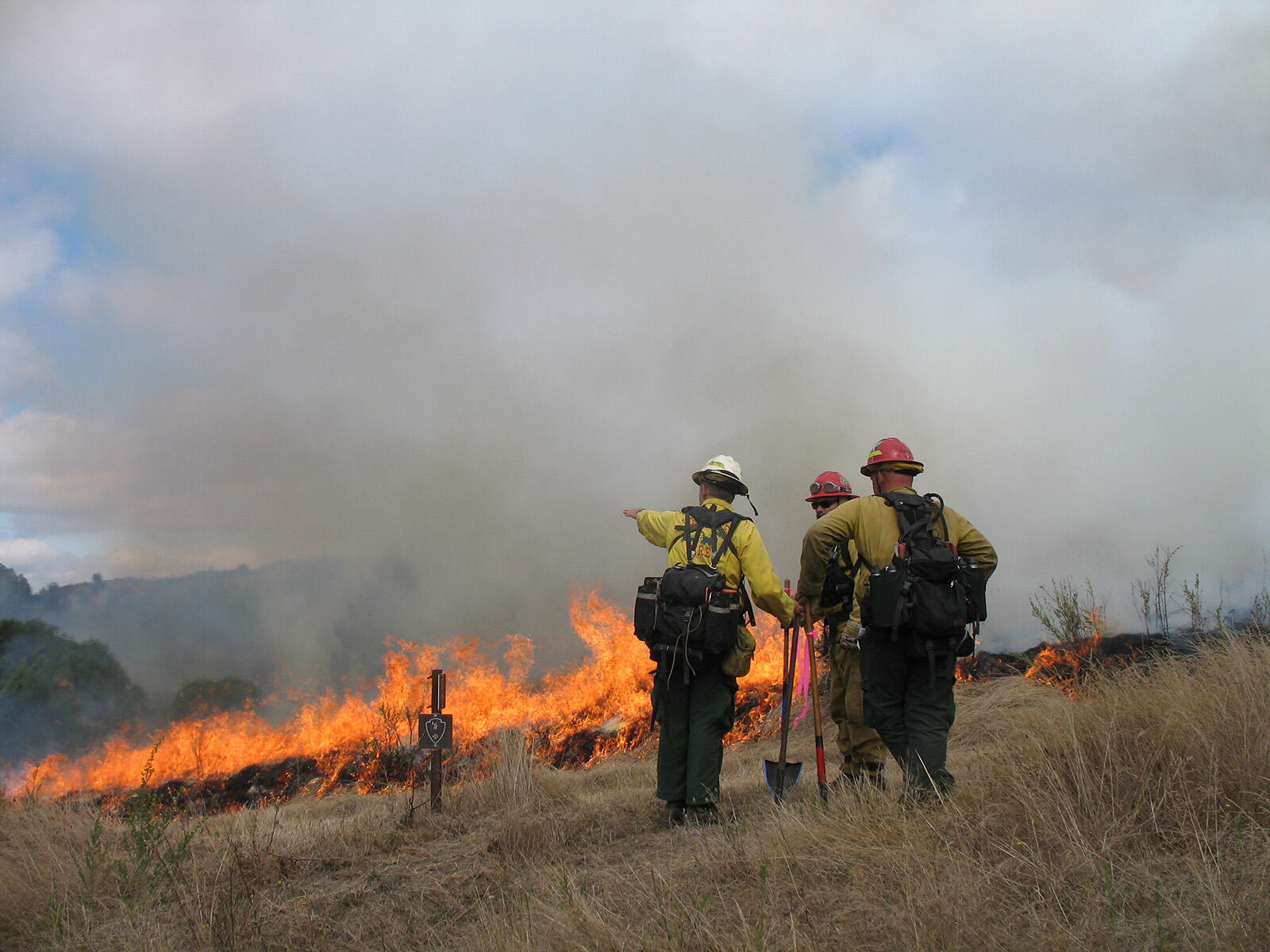 Uniformed firefighters gesture to each other as a prescribed fire burns on the grassy landscape.