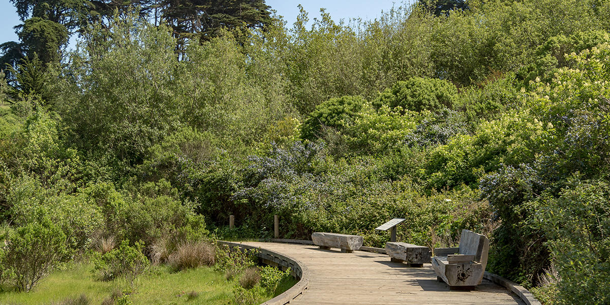 Trail at El Polin Springs, The Presidio