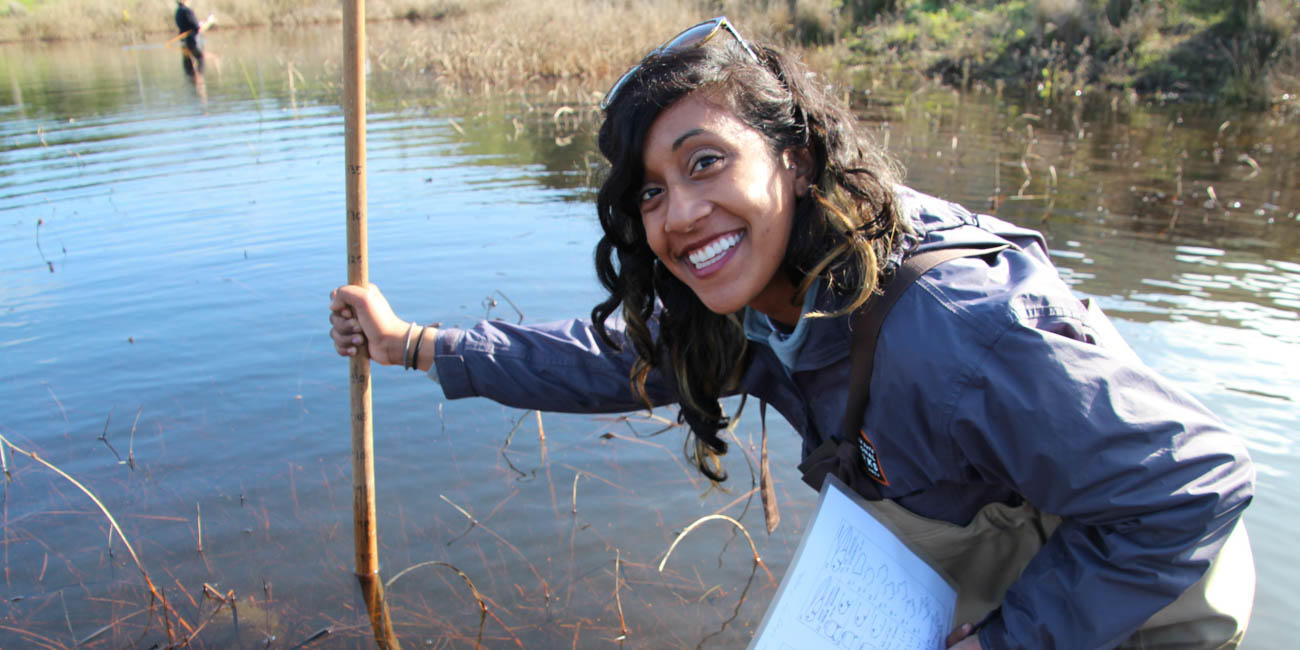 Intern Frog Monitoring in Mori Point