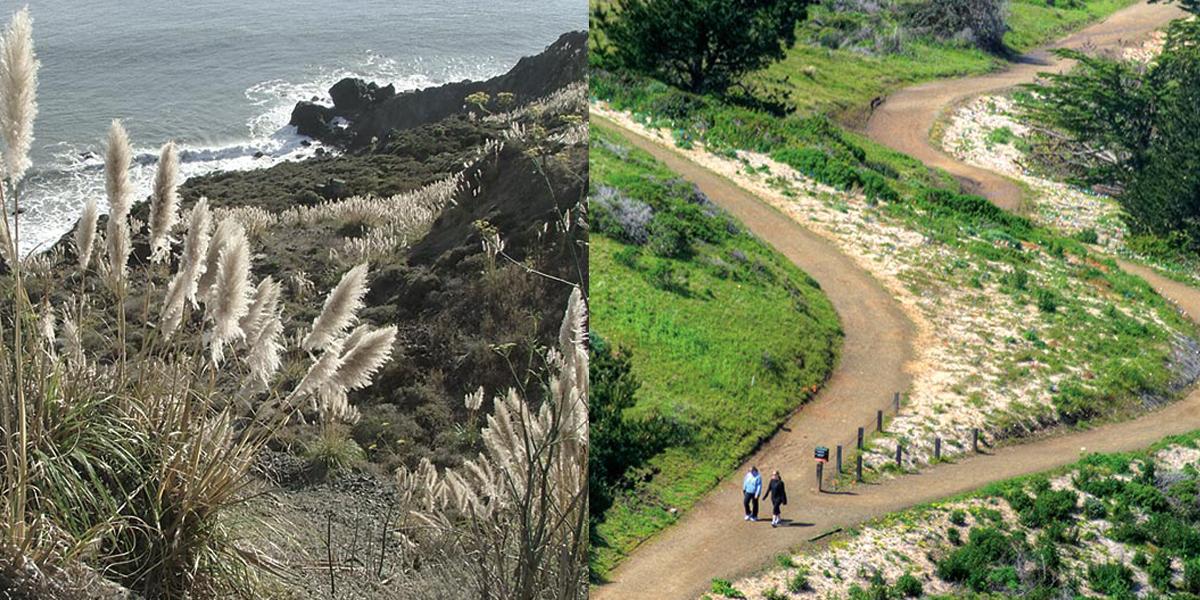 Mori Point before and after restoration