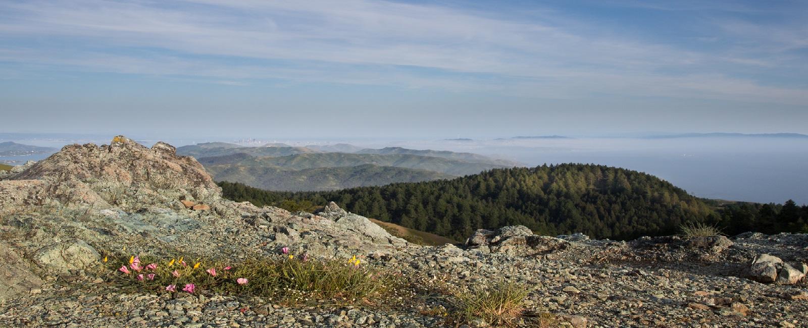 Mt. Tamalpais Mt. Tamalpais