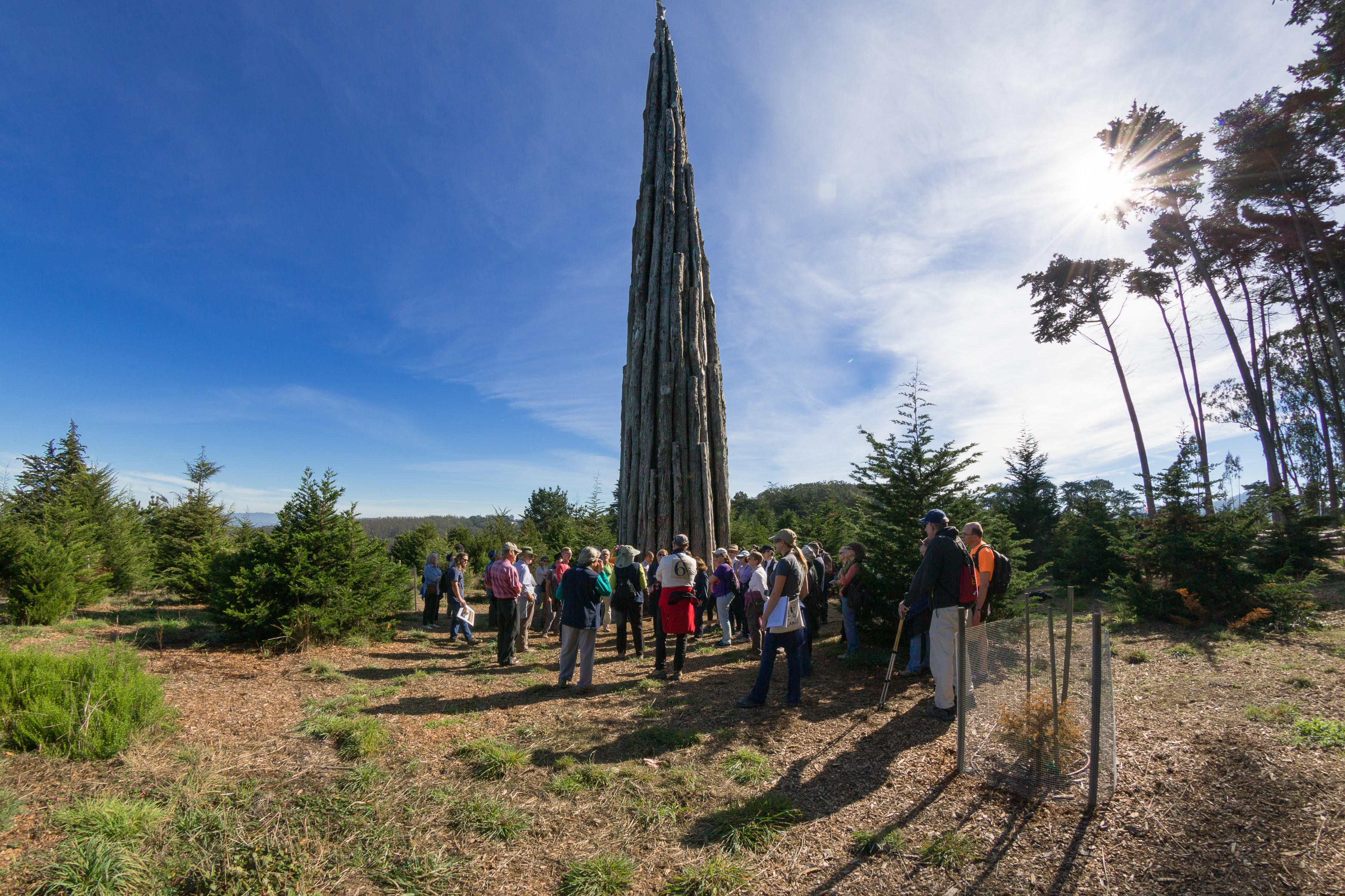 A docent led tour group gathers at Goldsworthy's "Spire" in the Presidio.