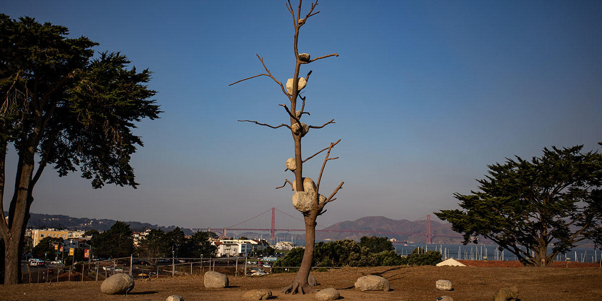 Giuseppe Penone's "Idee di pietra" on display at upper Fort Mason