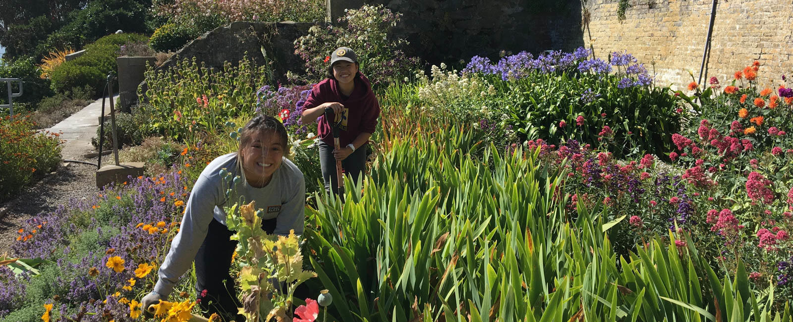 Alcatraz Historic Gardens Volunteers