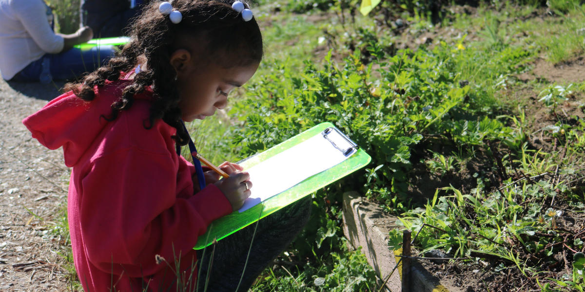 A student sketches a plant during a Seeds to Flowers program