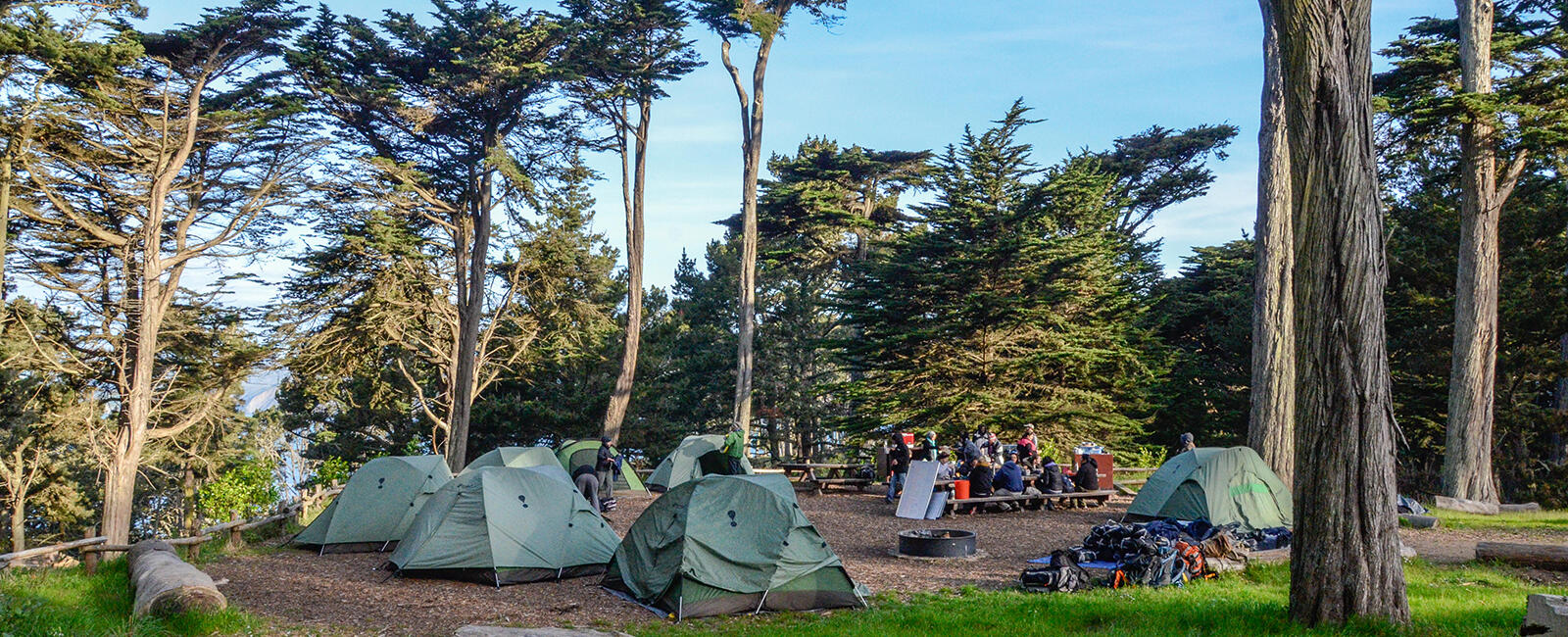 A group of adults sit outside on a sunny day eating lunch at a picnic bench under eucalyptus trees while surrounded by camping tents