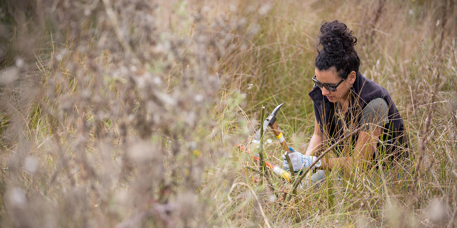 Stewardship work at Tennessee Valley.