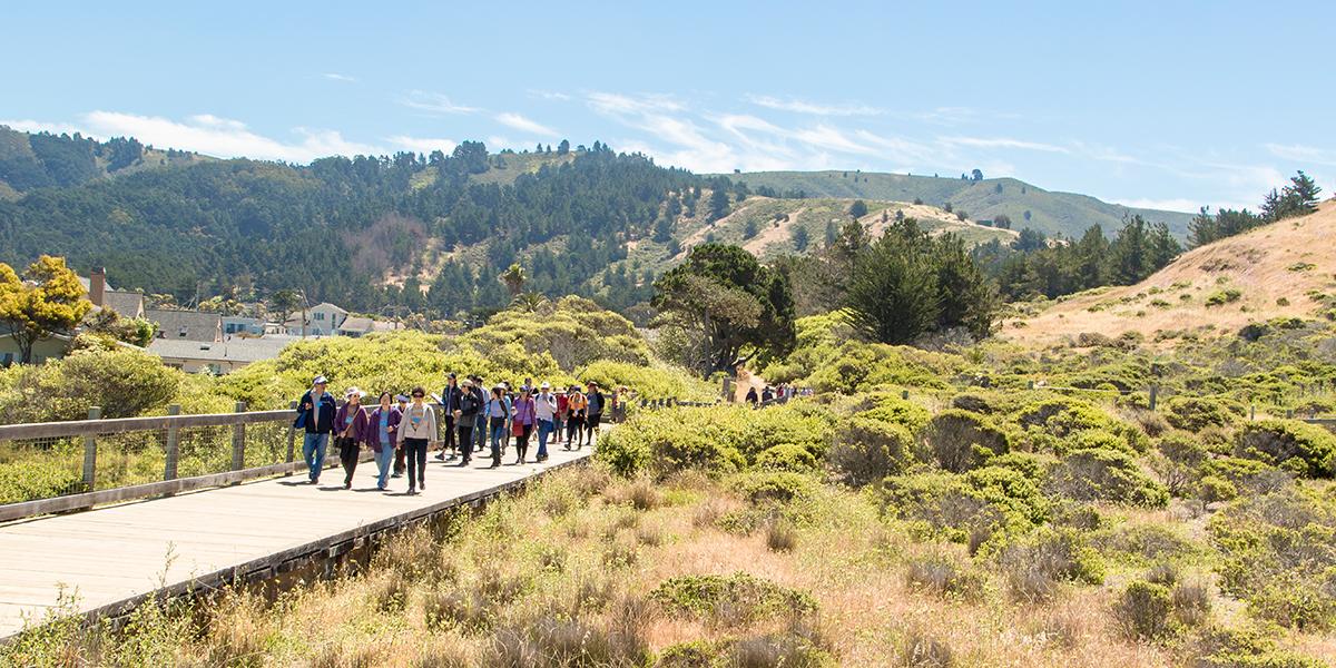 An elevated wooden deck trail was constructed to maintain visitor access while protecting wetlands and providing safe passage for wildlife at Mori Point 