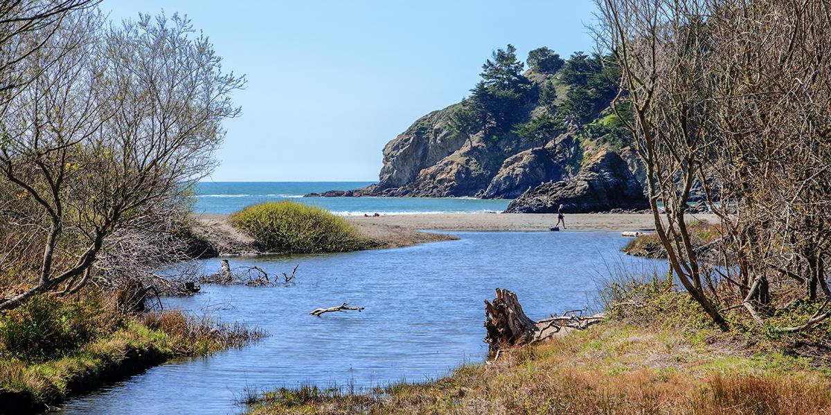 Redwood Creek flowing into the ocean