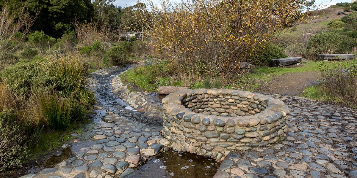 El Polín Spring is an important fresh water source and habitat area in the heart of the Presidio