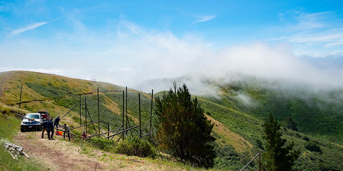 Wolfback Ridge