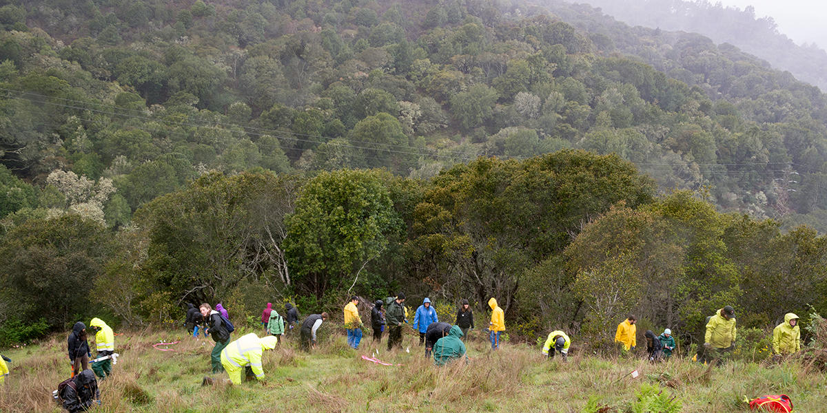 Volunteers at Oakwood Valley