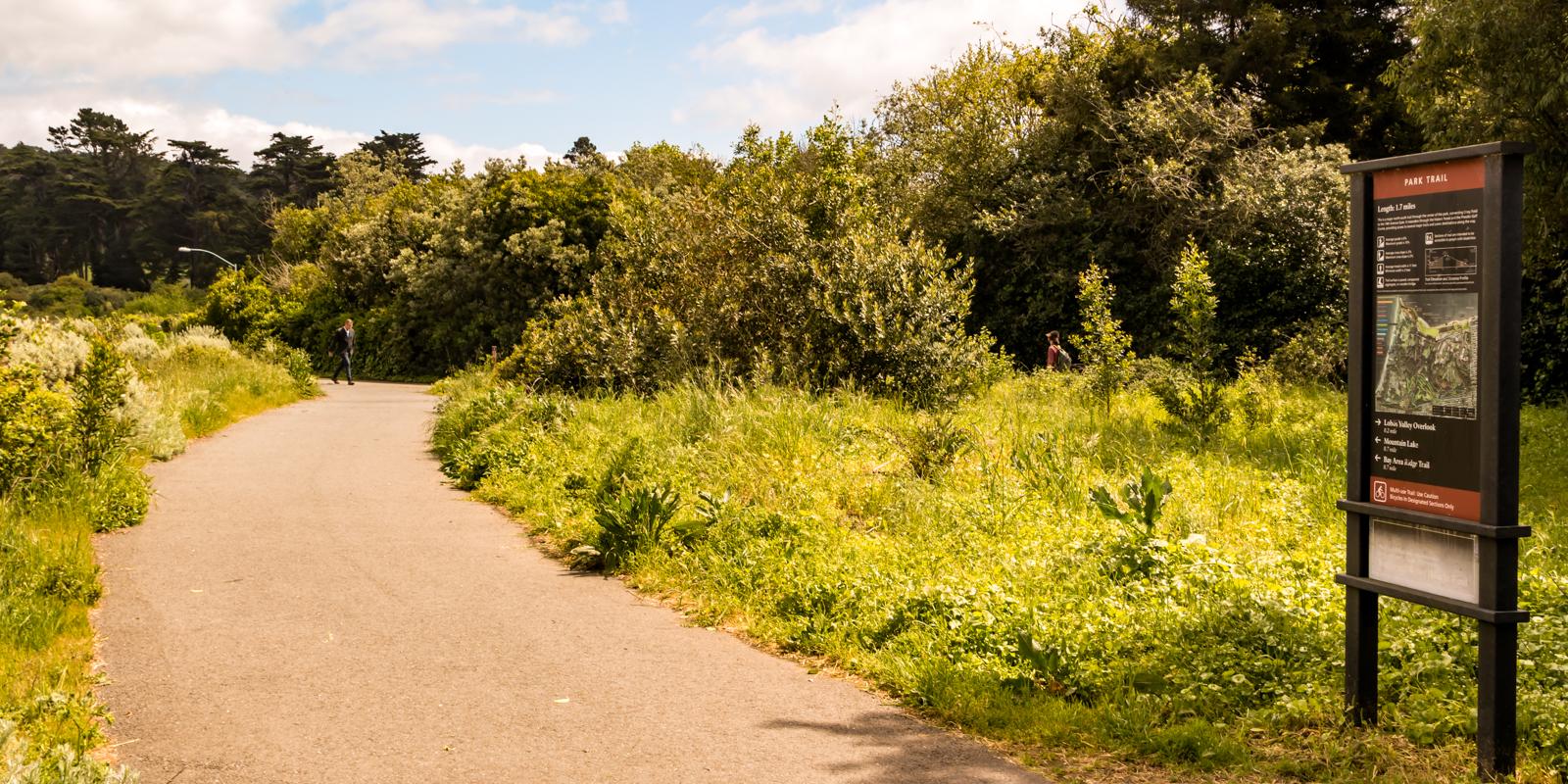 The Presidio Park Trail provides an important link in between the Presidio Promenade and the Bay Area Ridge Trail